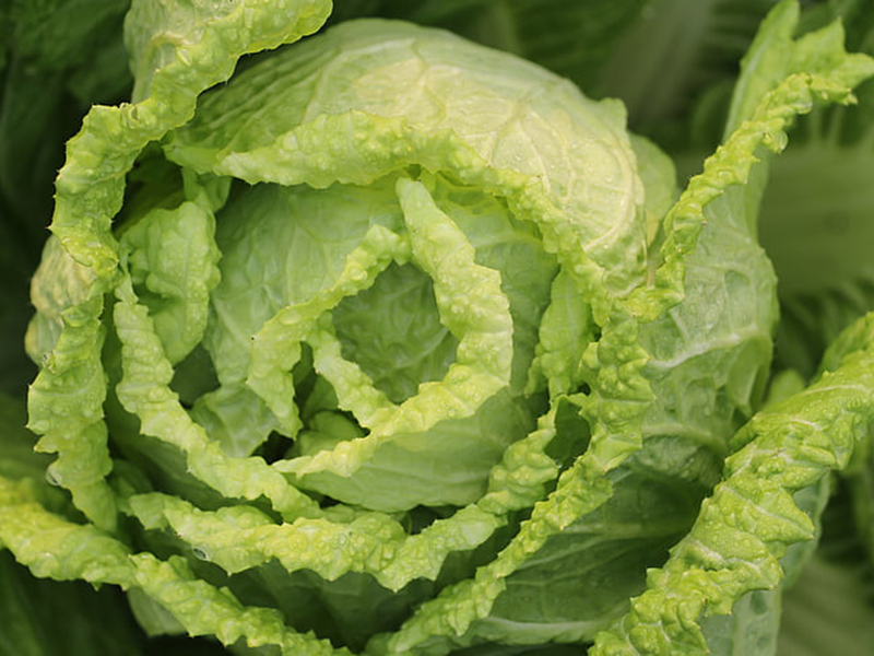 怎樣可以檢測(cè)小白菜中農(nóng)藥殘留是否超標(biāo)？