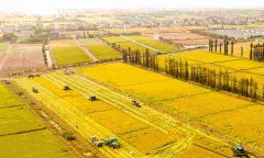 蔬菜農(nóng)藥殘留檢測儀怎么樣？