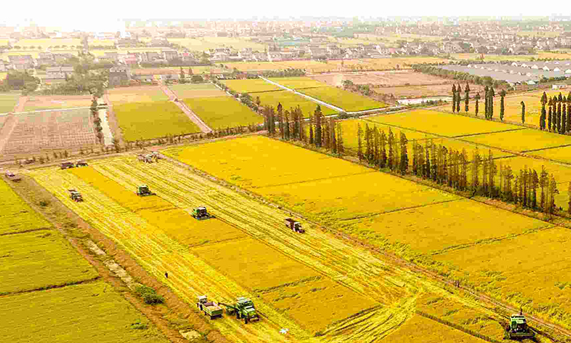 蔬菜農(nóng)藥殘留檢測(cè)儀