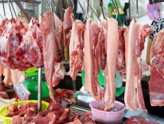 肉類(lèi)水分測(cè)定儀的類(lèi)型和原理