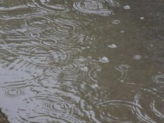 雨量監(jiān)測儀，提供雨量原始數(shù)據(jù)