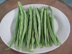 農(nóng)藥殘留檢測(cè)儀，檢測(cè)四季豆農(nóng)藥殘留含量