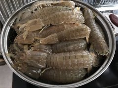 皮皮蝦中為什么會(huì)被檢測(cè)出鎘超標(biāo)？