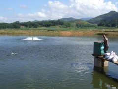 水產(chǎn)養(yǎng)殖檢測儀，為水產(chǎn)提供優(yōu)良的生長環(huán)境