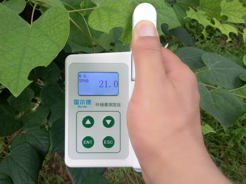 葉綠素含量測量儀，可用于植物施肥的依據(jù)